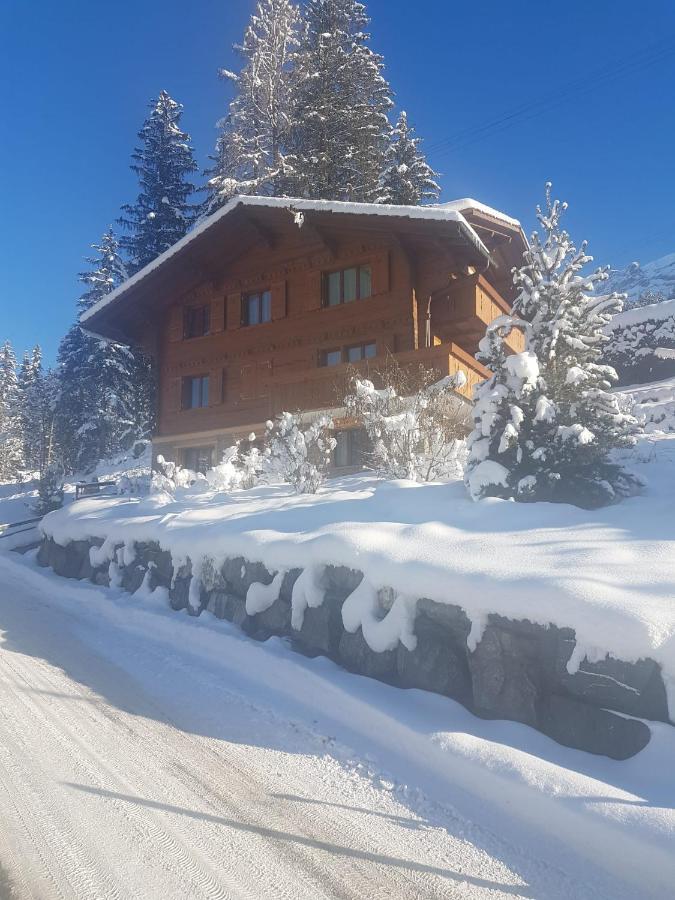 Chalet Grueneggli Adelboden Bagian luar foto