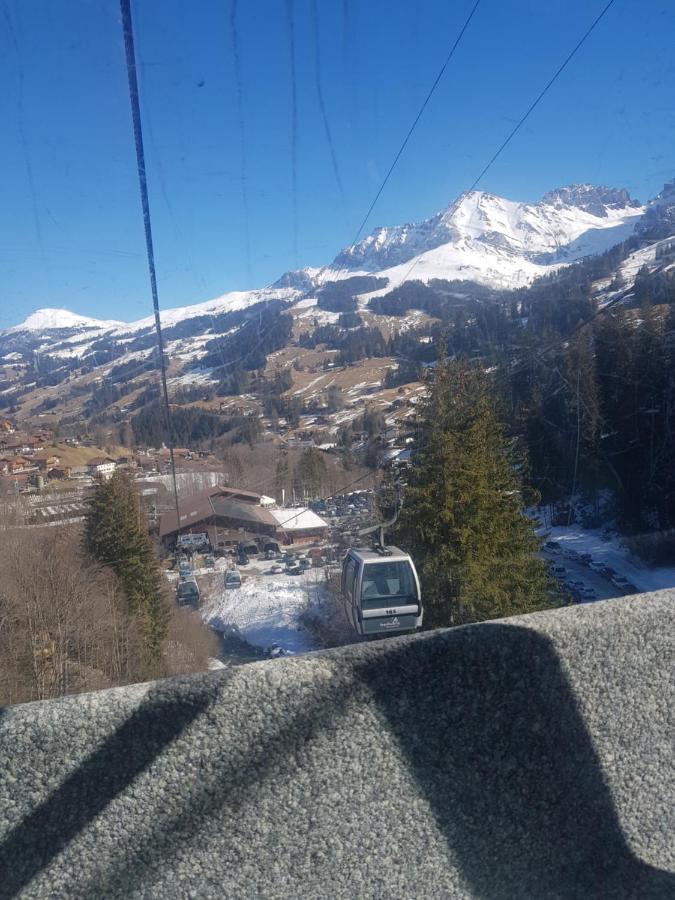 Chalet Grueneggli Adelboden Bagian luar foto
